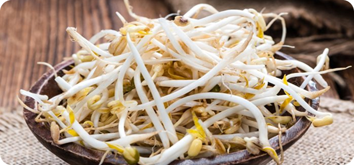 Bean Sprouts